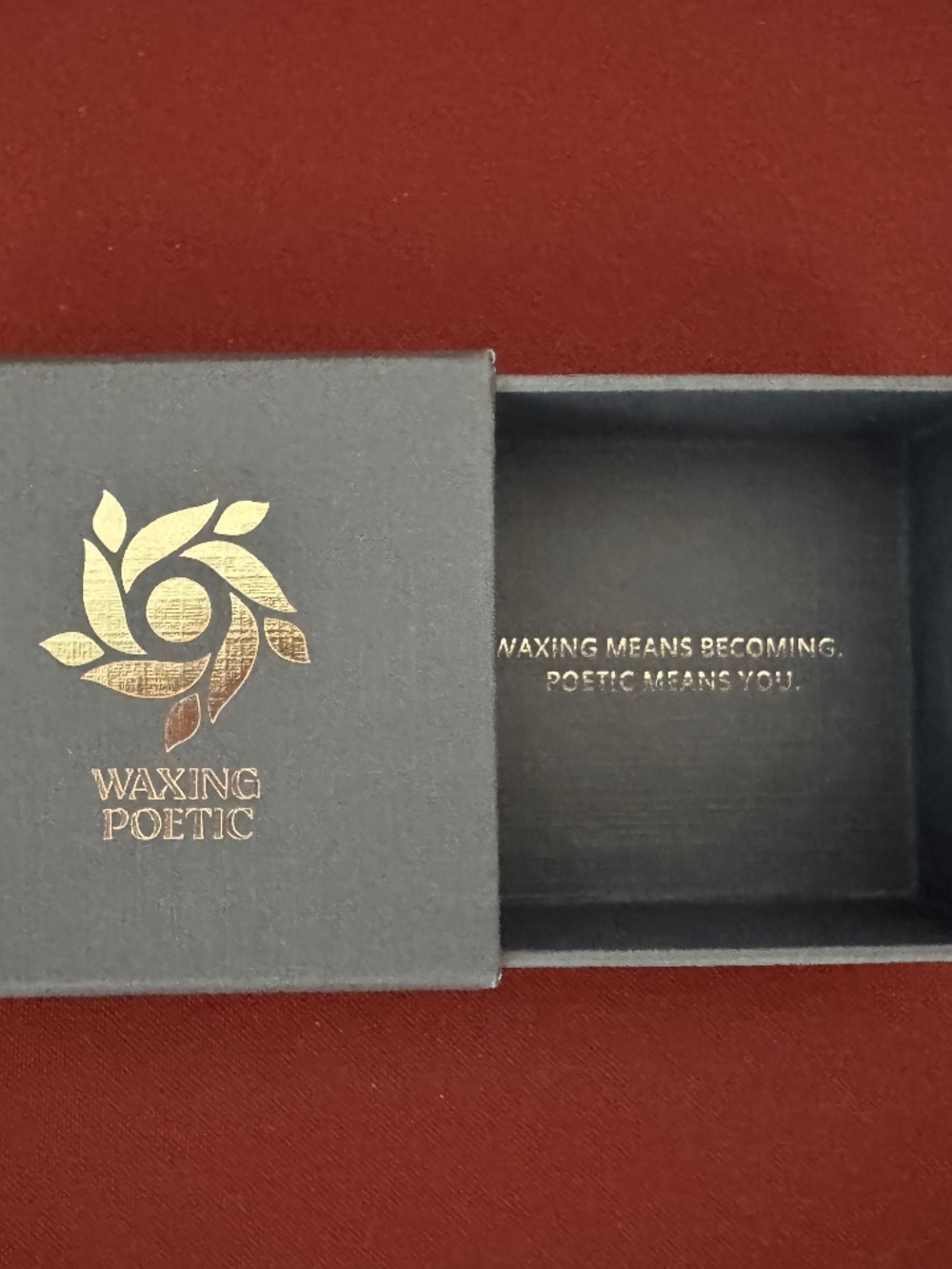WAXING POETIC Kristal Petite Dream Traveler Earrings NWT - Picture 7 of 8